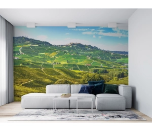 Vinice Barolo, Piedmont, Taliansko