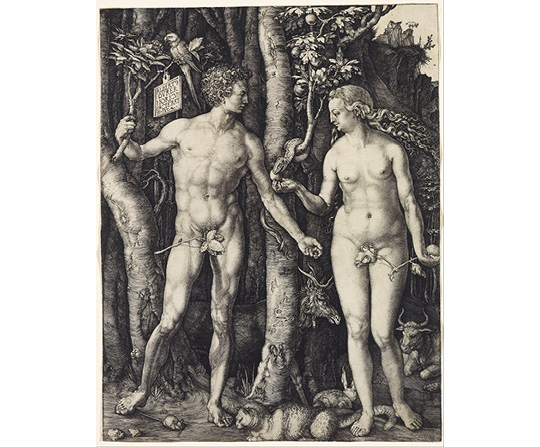 Albrecht Dürer - Adam a Eva - Adam and Eve - reprodukcia