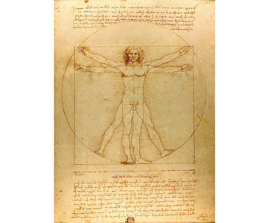 Leonardo da Vinci - Vitruviánsky muž - Vitruvian Man - reprodukcia