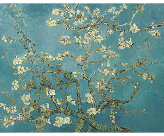 Vincent van Gogh - Kvitnúci mandľovník - Almond Blossom - reprodukcia